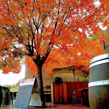 ESSENCE OF LERIDA ESTATE