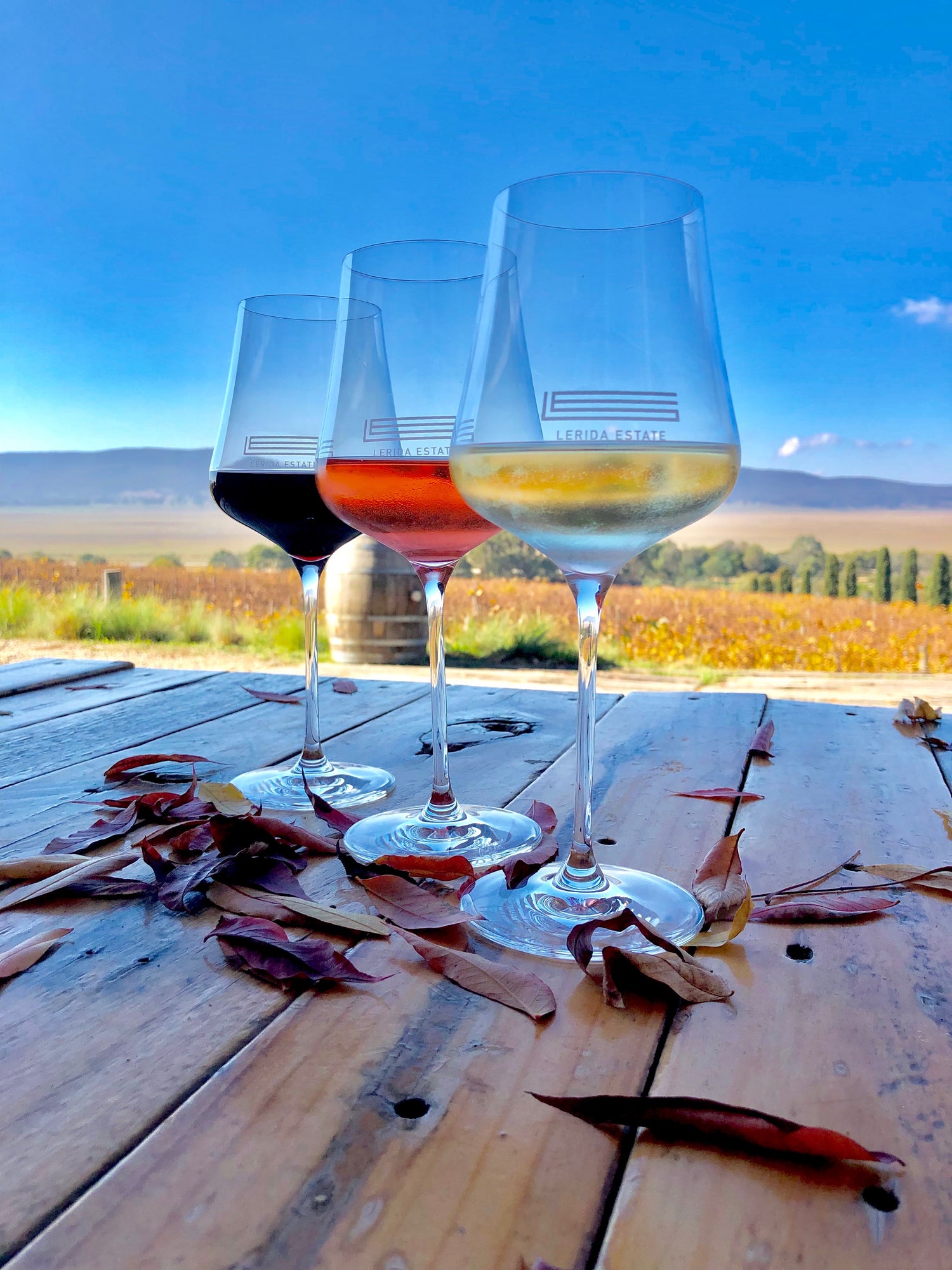 great Canberra wine
