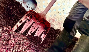 Wine Making in Canberra