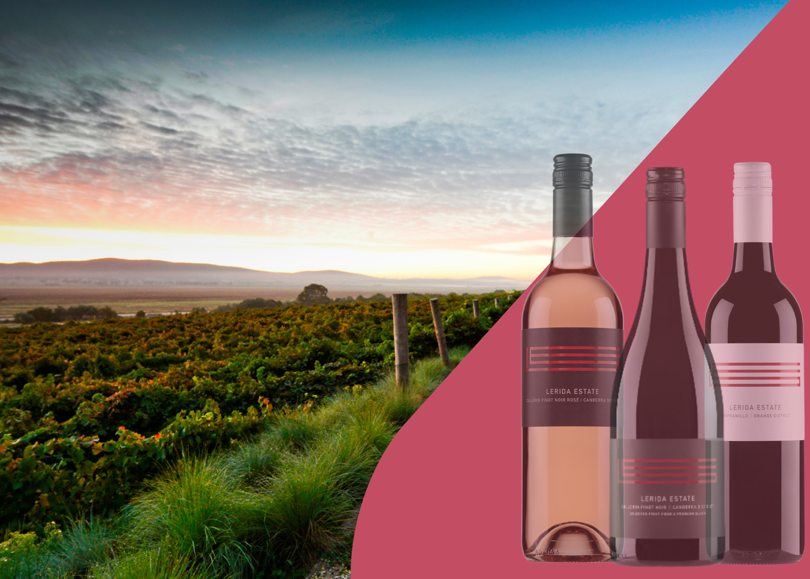 Wine bottles with a vineyard and sunset in the background