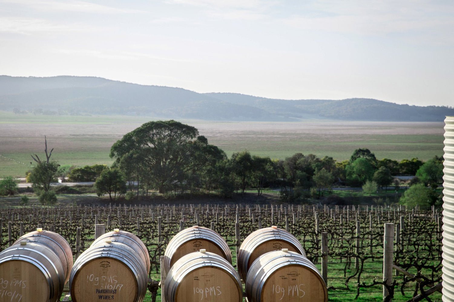 Lerida_Estate_Winery_Lake_George